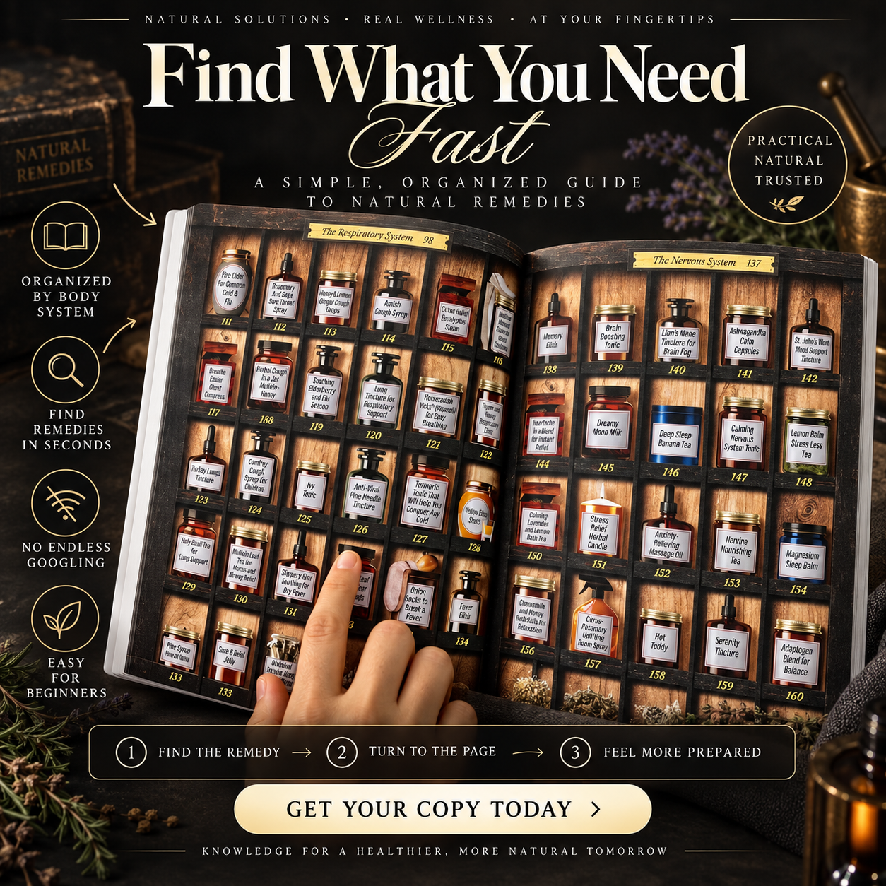 Forgotten Home Apothecary - 250 Home Remedies