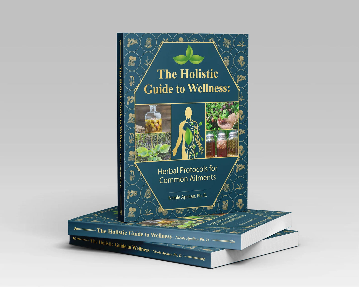 The Holistic Guide To Wellness